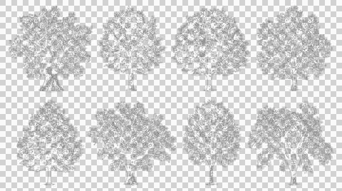 Eight detailed tree line graphics isolated on transparent background Stock Illustration