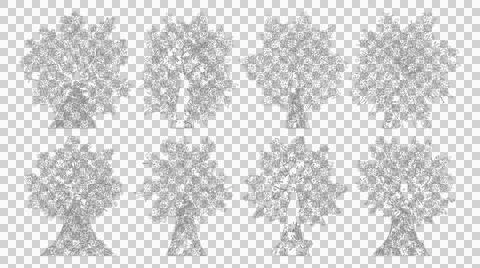 Eight detailed tree species in elevation view for landscape architecture Stock Illustration
