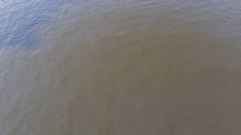 Eight-digit with a helmsman passes under a bridge on the Vltava river in Prague Stock Footage 83653134