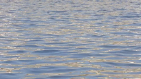 Eight-digit with a helmsman sailing on the Vltava river in Prague Stock Footage 83653604
