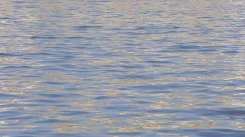 Eight-digit with a helmsman sailing on the Vltava river in Prague Stock Footage 83653702