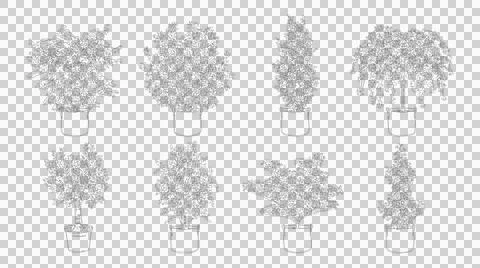 Eight diverse potted shrub elevation drawings isolated on transparent backg.. Stock Illustration