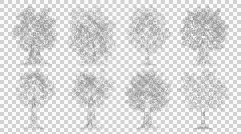Eight diverse tree species in elevation view for architectural renderings Stock Illustration