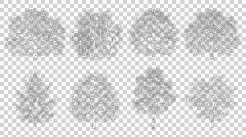 Eight garden tree elevation drawings isolated on transparent background desig Stock Illustration