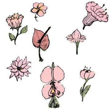 Eight Hand Drawn Flower Hatching Set Stock Illustration