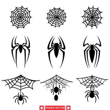 Eight Legged Marvels  Unique Spider Vector Graphics for Designers Stock Illustration