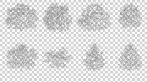 Eight mature tree elevation illustrations isolated on transparent background Stock Illustration