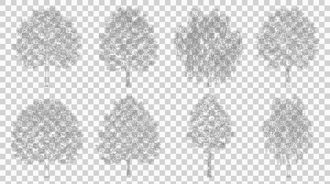 Eight park tree elevation sketches isolated on transparent background design Stock-Illustration