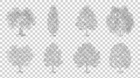 Eight professional tree line drawings isolated on transparent background Illustration