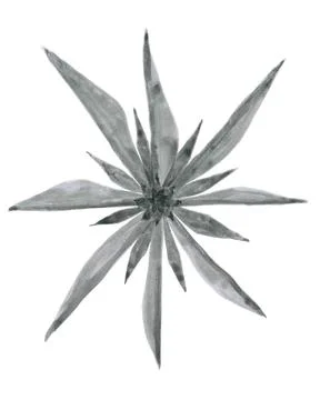 Eight ray triple layer symmetrical watercolor star with long beams in grayscale Stock Illustration