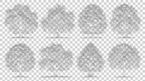 Eight realistic tree silhouettes in elevation view isolated transparent Stock Illustration