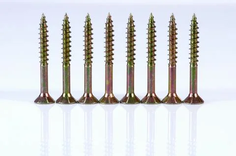 Eight screws isolated on white background with reflection. Stock Photos