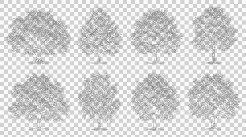Eight tree illustrations isolated on transparent background for design Иллюстрация