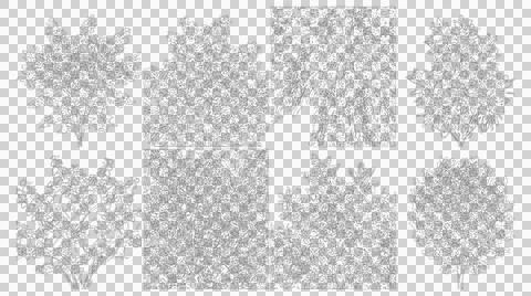 Eight trees in plan view isolated on transparent background elevation style Stock Illustration