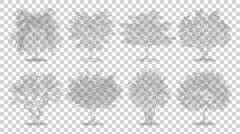 Eight trees in plan view isolated on transparent background for designers Stock Illustration