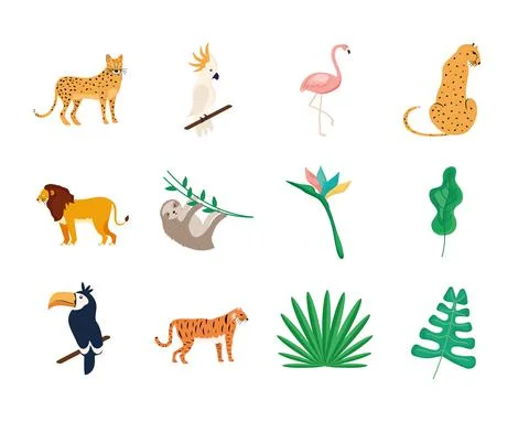Eight tropical animals 스톡 일러스트