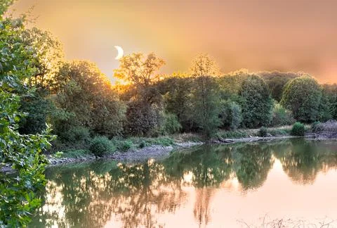 Eighty percent partial solar eclipse over a quiet lake and forest in nature Stock Photos