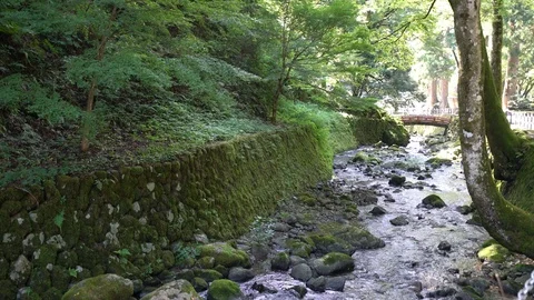 Eiheiji Temple in Fukui. Stock Footage 115487960