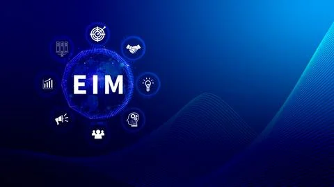EIM Enterprise information management system, EIM Global Network with Analy.. Illustrazione stock