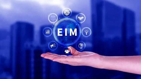EIM Enterprise information management system, EIM Global Network with Analy.. Foto stock