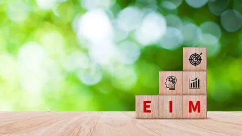 EIM Enterprise information management system on wooden cubes, EIM Global Ne.. Stock Photos