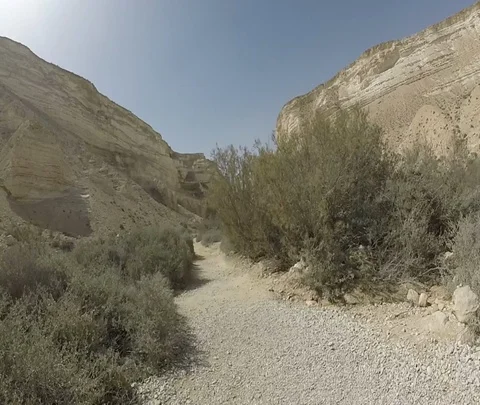 Ein Avdat 06 Stock Footage 111057031