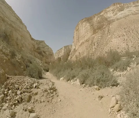 Ein Avdat 07 Stock Footage 111056537