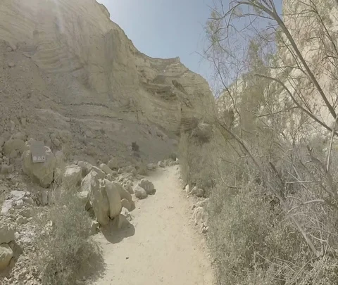 Ein Avdat 08 Stock Footage 111057625