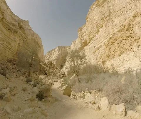 Ein Avdat 09 Stock Footage 111059339