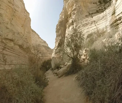 Ein Avdat 11 Stock Footage 111060781