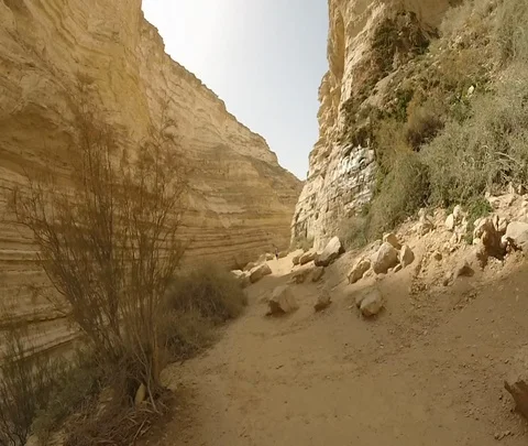 Ein Avdat 12 Stock Footage 111060479