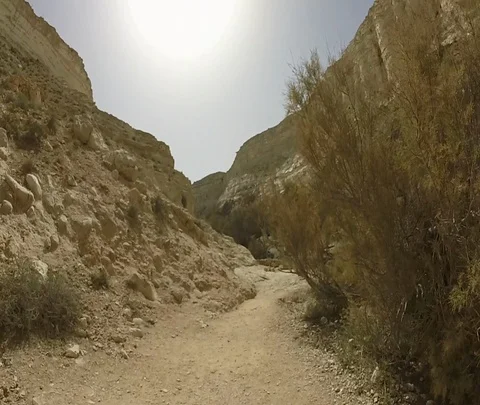 Ein Avdat 14 動画素材 111062736