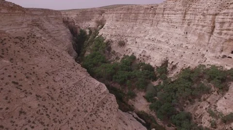 Ein Avdat - Greenery around Tsin Wadi (Israel aerial footage) 스톡 동영상 67489347