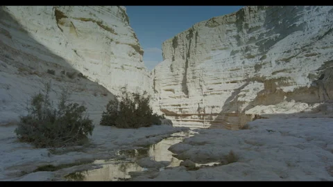 Ein Avdat National Park Spring Stock Footage 270191643