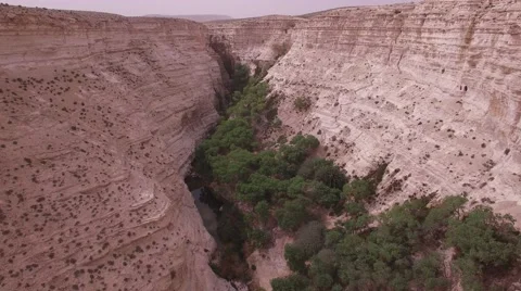 Ein Avdat - Over the canyon and Tsin Wadi (Israel aerial footage) 库存影片 67490593