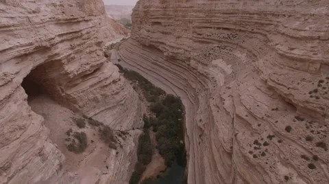Ein Avdat - Through the canyon over Wadi Tsin (Israel aerial footage) Video stock 67491281