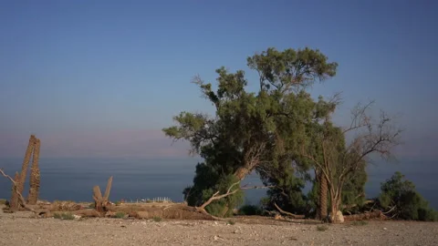 Ein Gedi beach abandoned Stock Footage 230106018