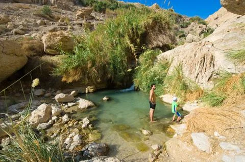 Ein Gedi Stock Photos