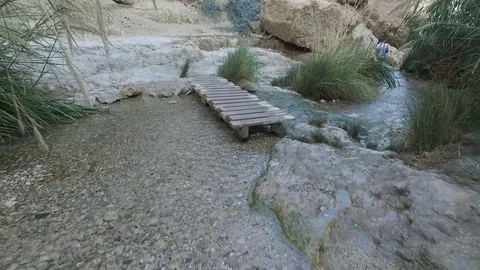 Ein Gedi River Stock Footage 78687538
