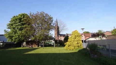 Ein hoher Nadelbaum Stock Footage 194035586