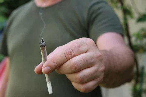 Ein Mann hält einen Joint zwischen den Fingern *** a Man holds a Joint bet.. Stock Photos