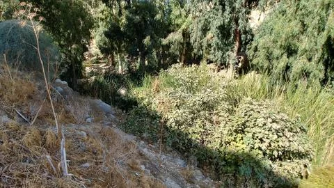 Ein Prat Stock Photos