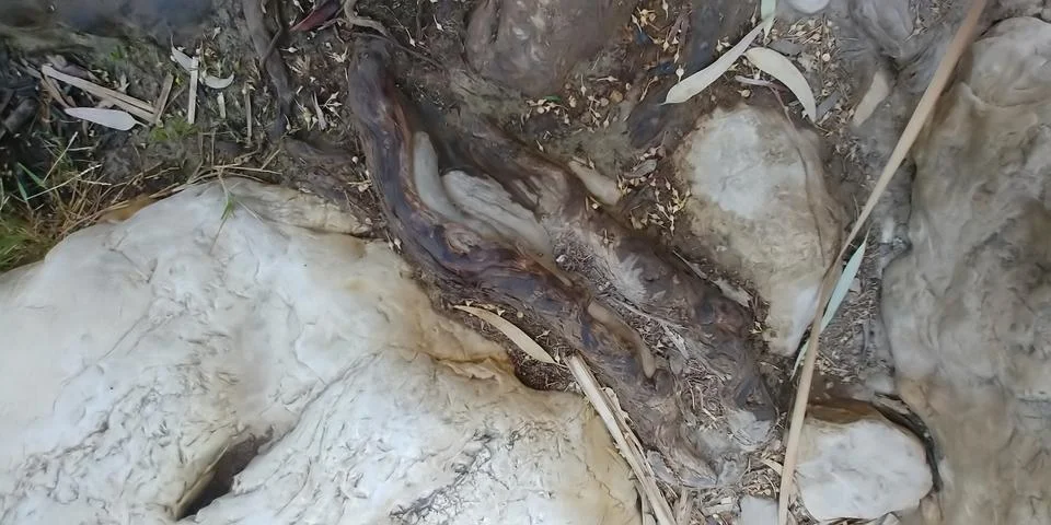 Ein Prat 스톡 사진