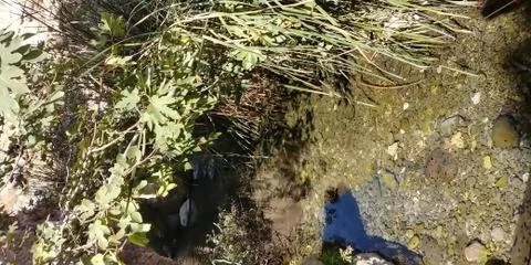 Ein Prat Stock Photos