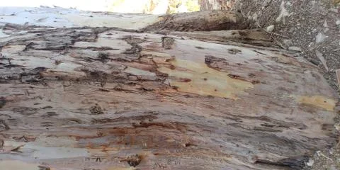 Ein Prat Stock Photos