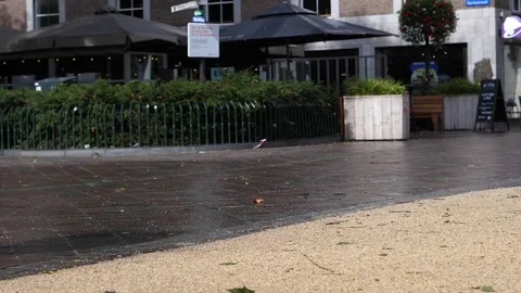 Eindhoven Slow Motion Stock Footage 81164970