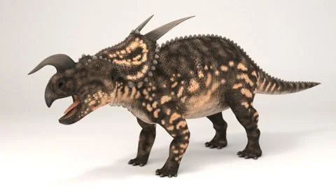 Einiosaurus Stock Illustration