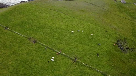 Eire 74 Stock Footage 111658517