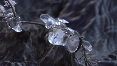 Eis Stock Footage 148341631