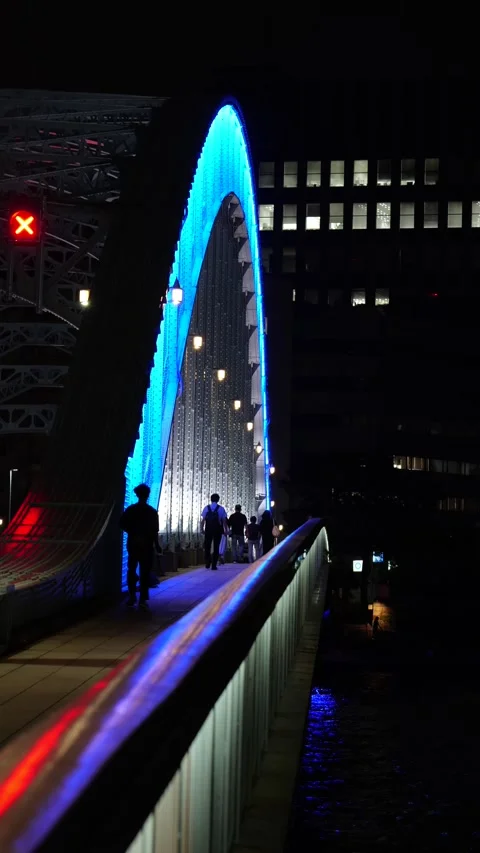 Eitai Bridge Special Lighting, Japan Tokyo July 2026 Stock Footage 338145287